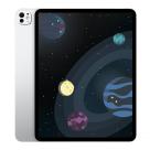 Планшет Apple iPad Pro 13" с нанотекстурой, 256 ГБ, Wi-Fi + Cellular (Серебристый | Silver) (M5 | 2025)