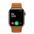Apple Watch Series 7 GPS + Cellular, 41mm, корпус из стали золотого цвета, кожаный браслет (Leather Link) цвета «Золотистая охра»