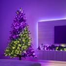 Умная уличная гирлянда «Нити» Twinkly Strings HD RGB + W (27,5 м, 500 светодиодов) - фото 4