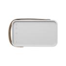 Портативная акустика Bang & Olufsen Beolit 17 - фото 4