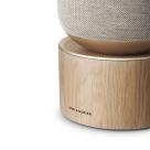Беспроводная акустика Bang & Olufsen Beosound Balance - фото 15