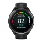 Спортивные часы Garmin Forerunner 965, силиконовый ремешок цвета чёрный/«серая пудра»