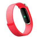 Фитнес-браслет Google Fitbit Air («Ягода» | Berry) - фото 2