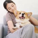 Умный ошейник Xiaomi PetBit - фото 3