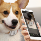 Умный ошейник Xiaomi PetBit - фото 4