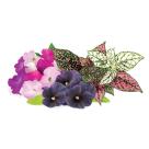 Набор картриджей для умного сада Click and Grow «Цветочный микс» (комплект — петуния, анютины глазки, гипоэстес)