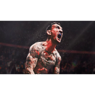 Игра EA Sports UFC 6 для PlayStation 5 (полностью на английском языке) - фото 3