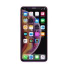 Защитное стекло с фильтром синего света и сеткой на динамик Baseus для iPhone X, XS и 11 Pro - фото 2