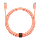 Кабель с оплёткой и ремешком Native Union Belt Cable XL USB-C (USB 2.0) (3 м) - фото 3