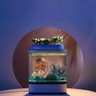 Аква-ферма Xiaomi Descriptive Geometry Mini Lazy Fish Tank - фото 3