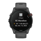 Спортивные часы Garmin Forerunner 255, 46 мм, силиконовый ремешок сланцево-серого цвета - фото 2
