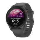Спортивные часы Garmin Forerunner 255, 46 мм, силиконовый ремешок сланцево-серого цвета - фото 3