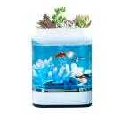 Аква-ферма Xiaomi Descriptive Geometry Mini Lazy Fish Tank