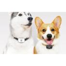 Умный ошейник Xiaomi PetBit - фото 6