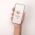 Защитное стекло Big Geek для iPhone 12 Pro Max - фото 3