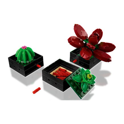 Конструктор — суккуленты LEGO Icons Botanical Collection (#10309) - фото 3