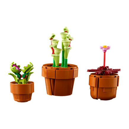 Конструктор — миниатюрные растения LEGO Icons Botanical Collection (#10329) - фото 4