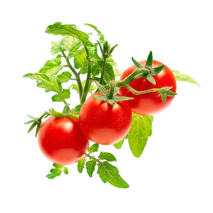 Набор картриджей для умного сада Click and Grow «Мини-томат» (комплект — 3 шт.)