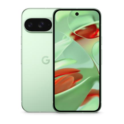 Смартфон Google Pixel 9 256 ГБ («Зимнезелёный» | Wintergreen) (версия Global)