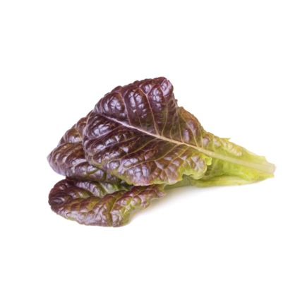 Комплект картриджей для умного сада Click and Grow «Салат латук красный» (3 штуки)