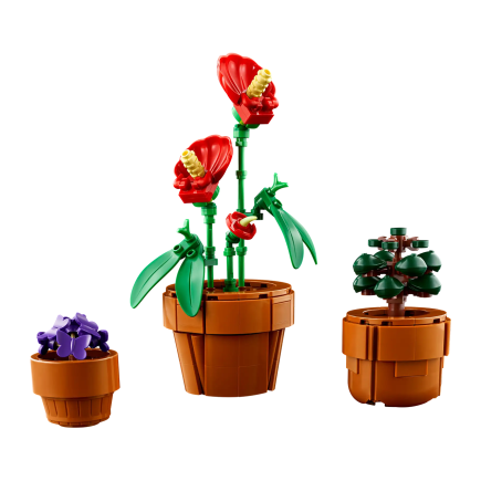 Конструктор — миниатюрные растения LEGO Icons Botanical Collection (#10329) - фото 1