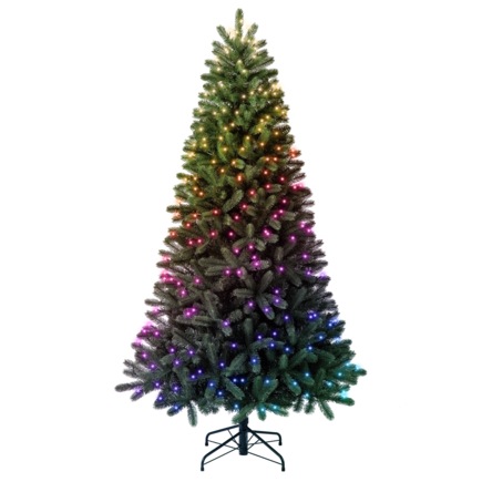 Умная новогодняя ёлка с гирляндой Twinkly Pre-lit Regal Tree, версия RGB + W (210x116 см, 435 светодиодов)