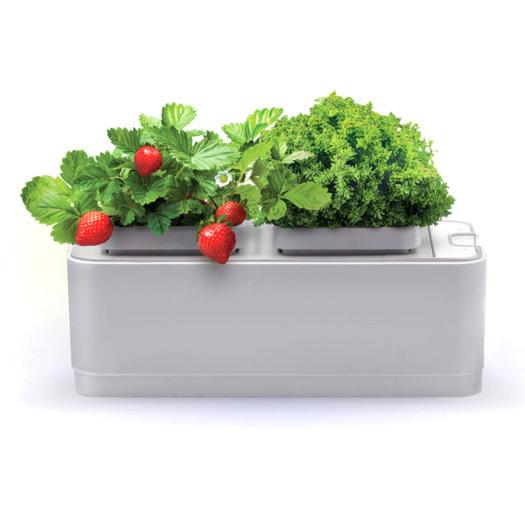 Умный сад «Назад к истокам» iGarden (G2018)