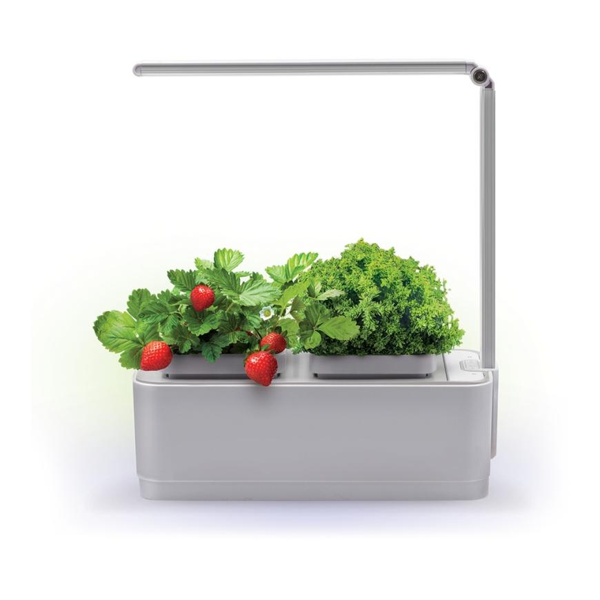 Умный сад с подсветкой «Назад к истокам» iGarden LED (GL2018)